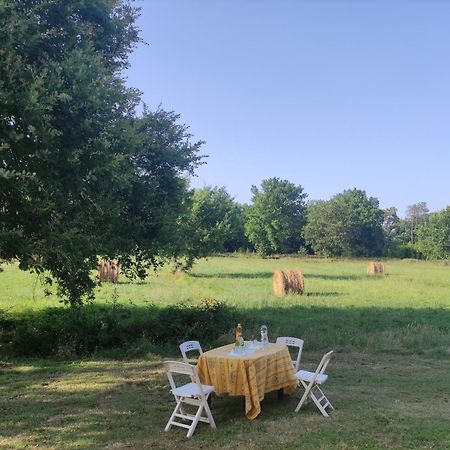 Appartamento Il Picchio Verde Altopascio Dış mekan fotoğraf
