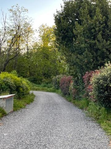 Appartamento Il Picchio Verde Altopascio Dış mekan fotoğraf